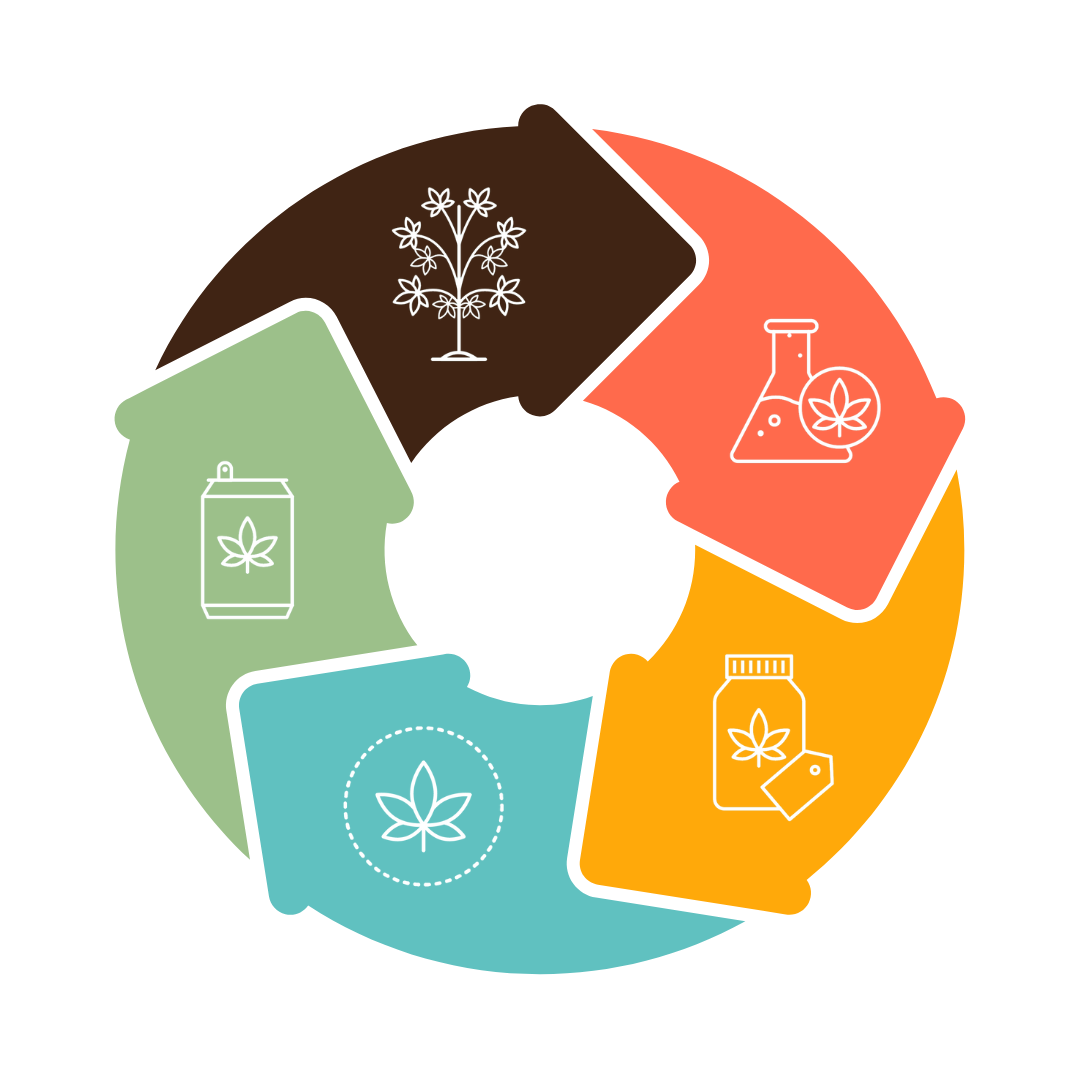 Cream Simple Business Improvement Tips Cycle Instagram Post